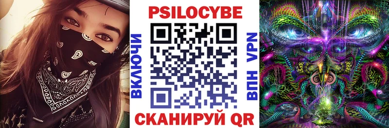 Галлюциногенные грибы Psilocybe  Дмитров 